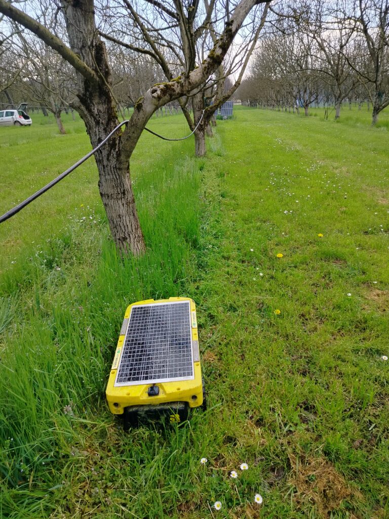 Robot de désherbage Vitirover