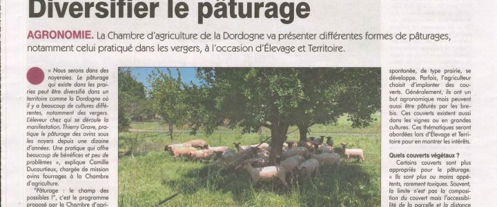 Echos terrain n°6 : Article Réussir le Périgord « Diversifier le pâturage »